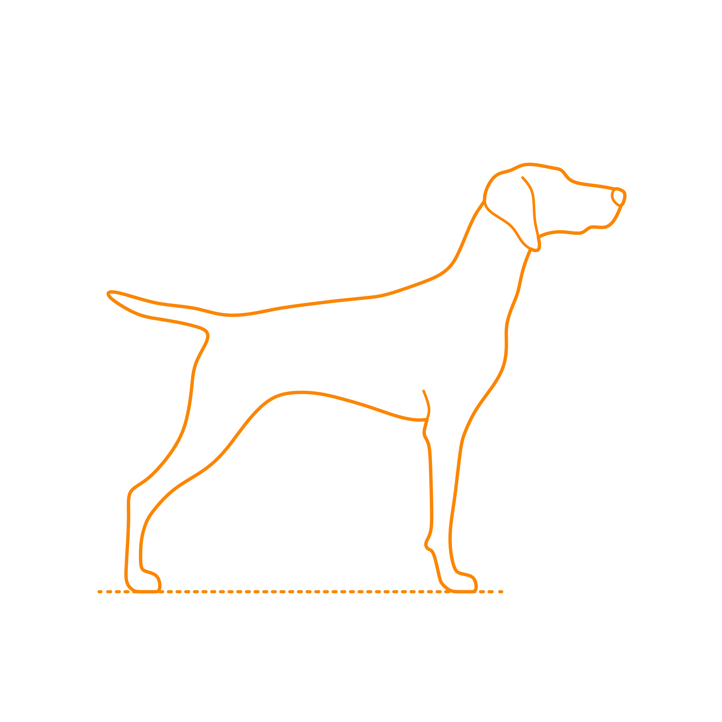 Animals Dogs Vizsla Stencil Svg Design File Free Vectors